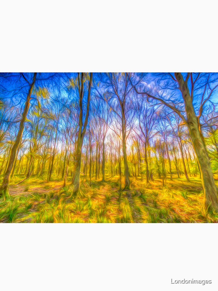 Warm Forest Art by Londonimages