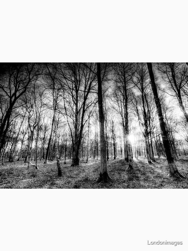The Forest Of Haunting by Londonimages