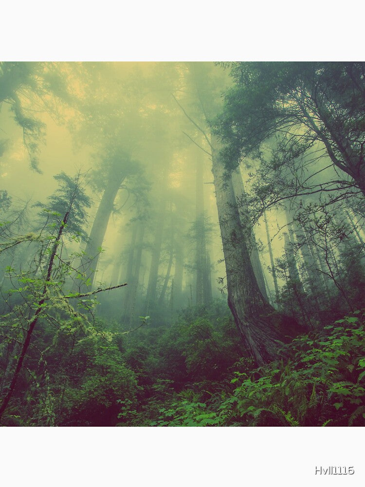 Foggy Green Lush Forest by Hvll1116