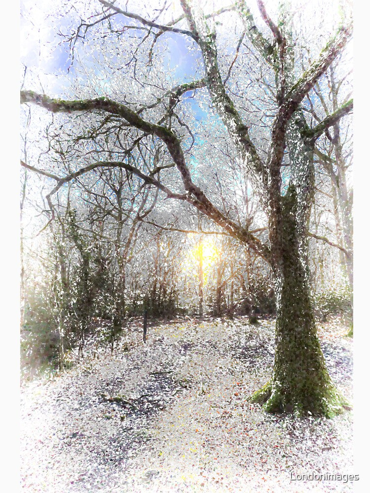 Snow Forest Art by Londonimages