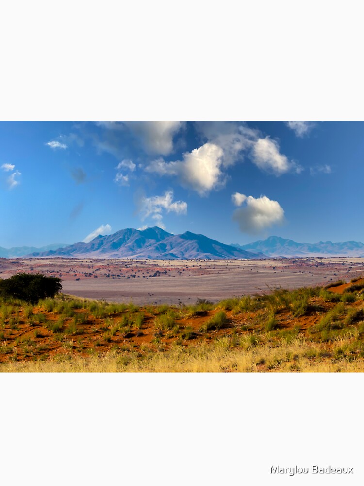 Desert of Namibia by Marylou Badeaux