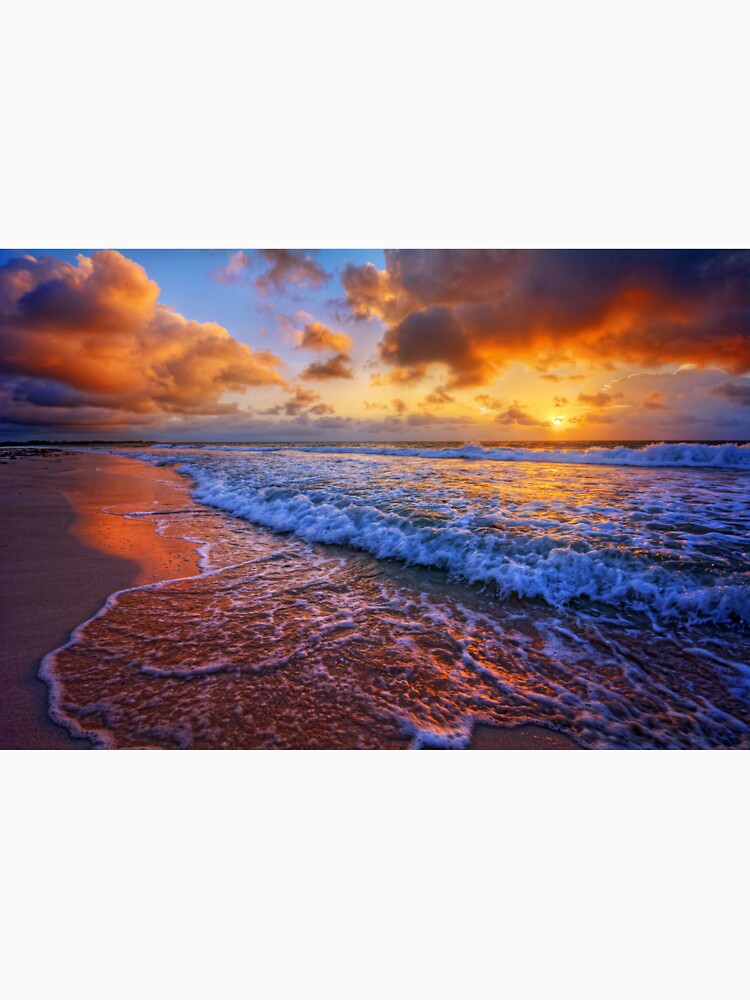 Blue Ocean View by cindyfordyce