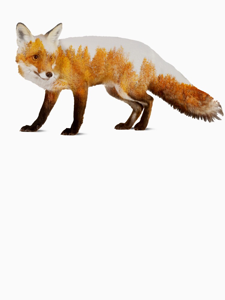 Fox by Sokol Selmani