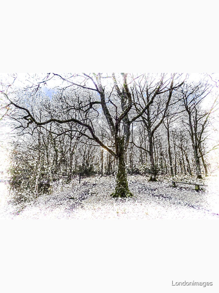 English Forest Snow Art by Londonimages