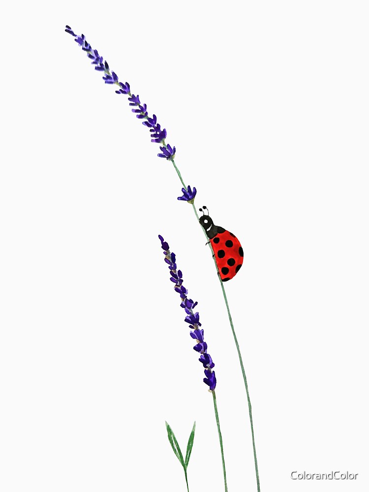 hand painted red ladybug and purple lavender by ColorandColor