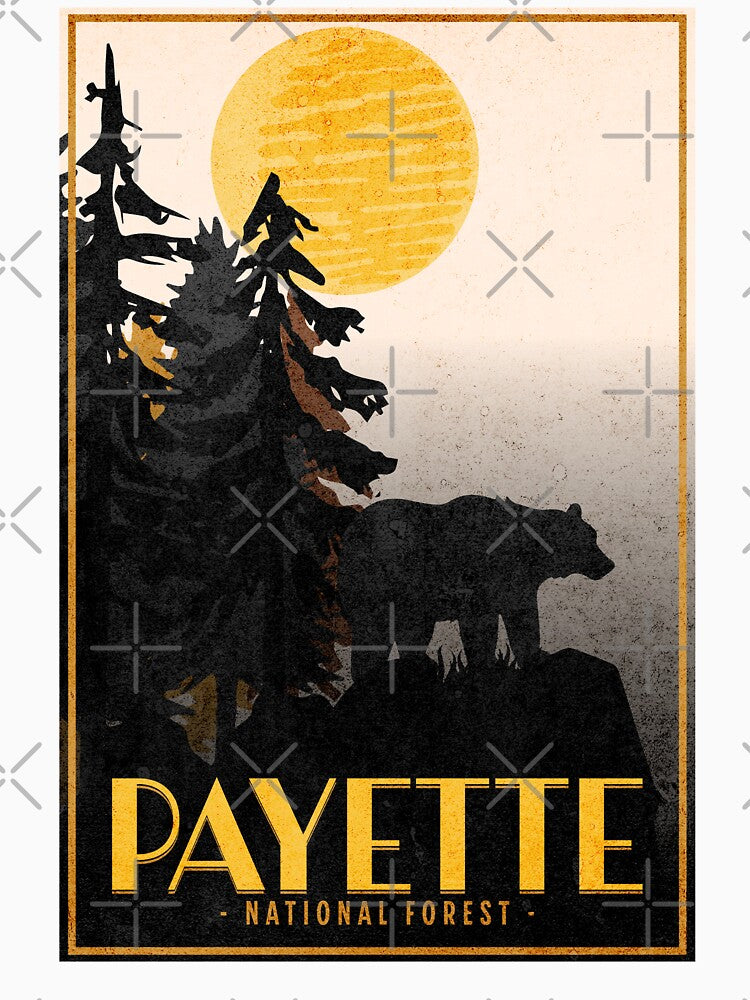 Payette National Forest - Idaho by Rich Summers Art