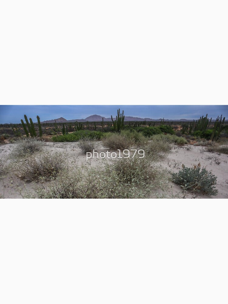Desert of Sonora Mexico by photo1979