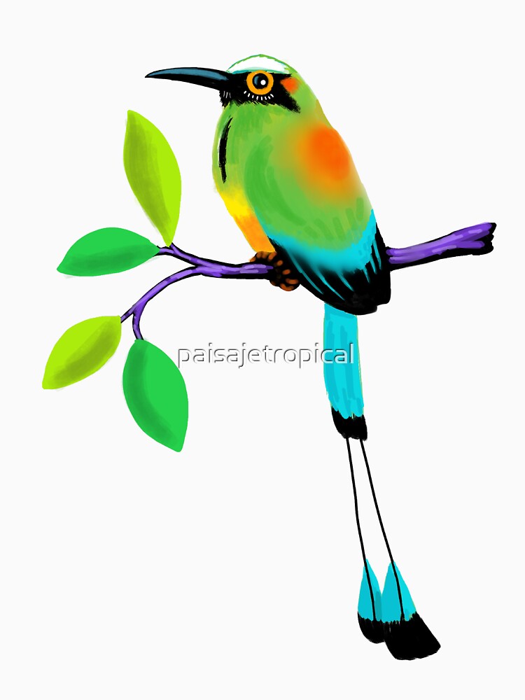 Hermoso Torogoz by paisajetropical