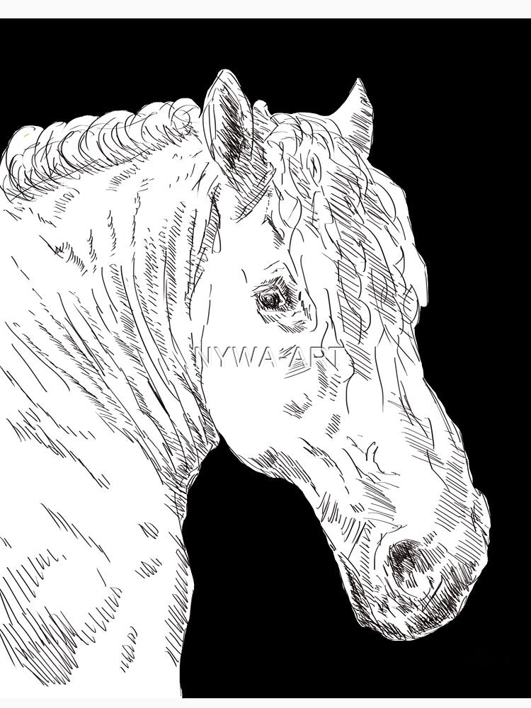 Horse black by NYWA-ART