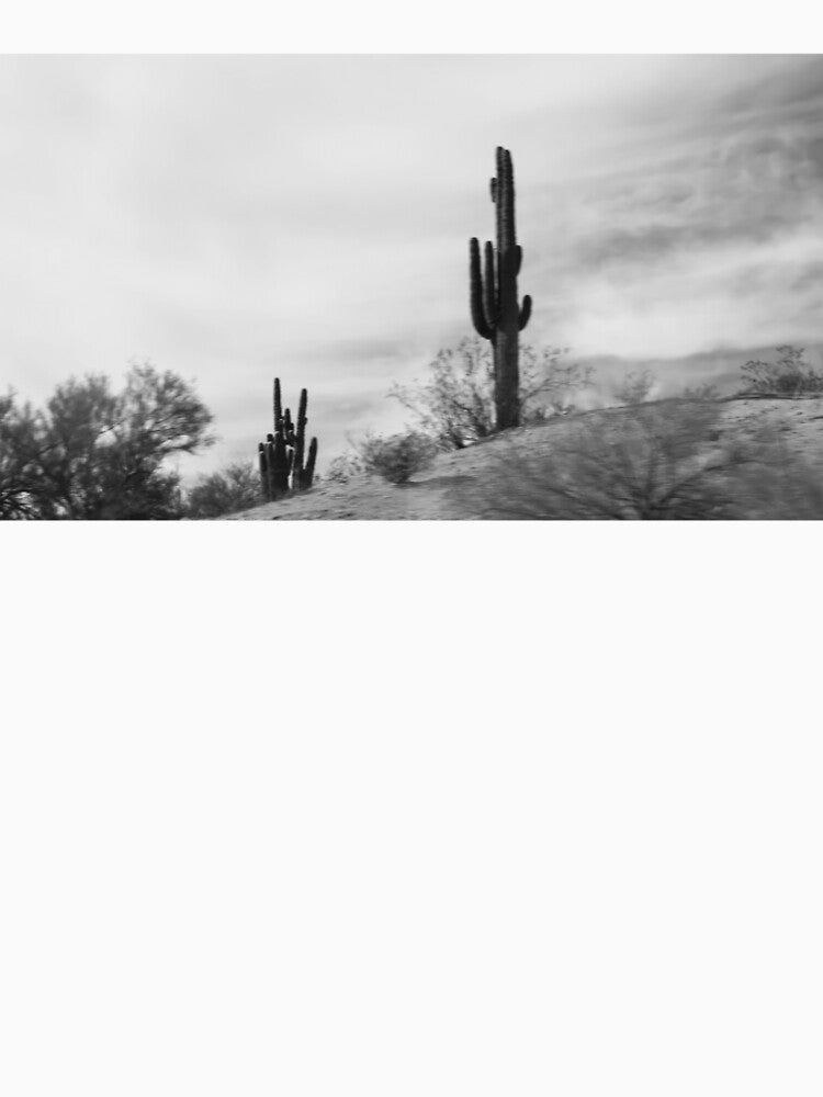 Saguaro Cacti in the Sonoran Desert by Phakade's Photos