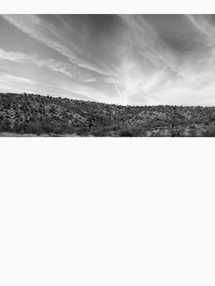 A monochrome view of the Sonoran Desert by Phakade's Photos
