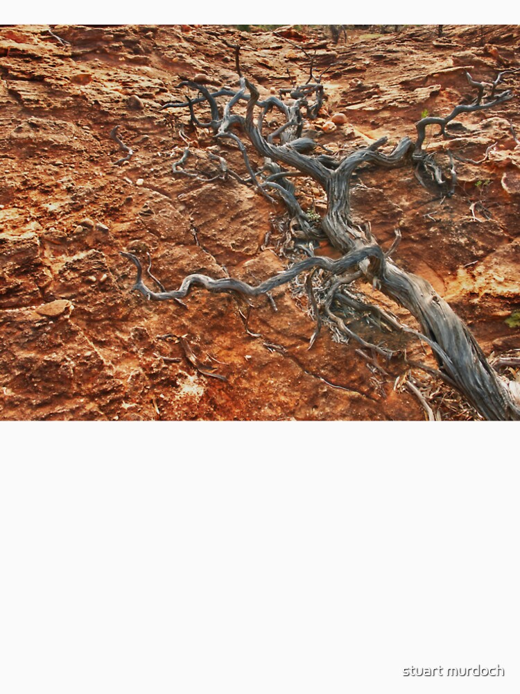 The forces of nature, know no end. by stuart murdoch