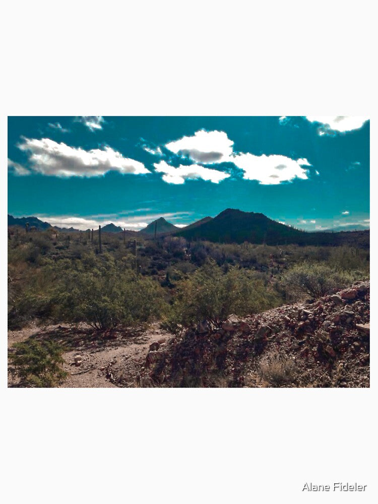 Arizona-Sonora Desert by Alane Fideler