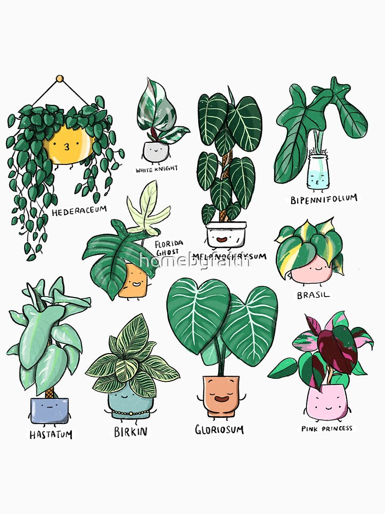 Philodendron Family by homebyfaith