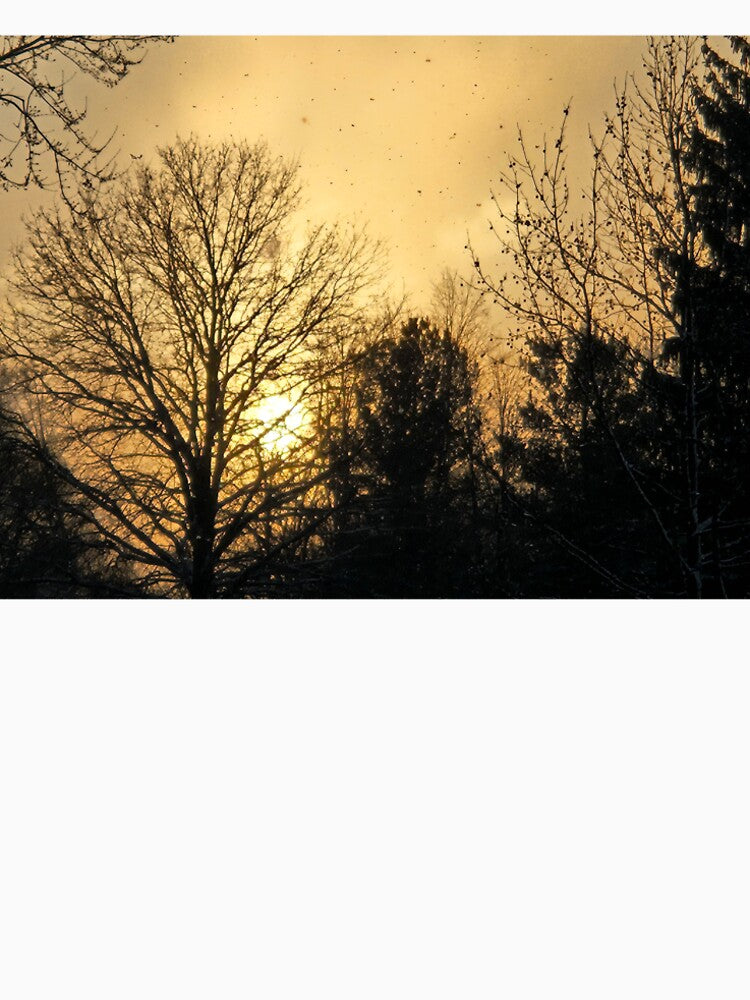 Winter Sunrise by Brimstone21