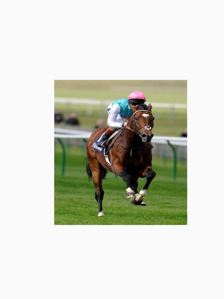 Frankel horse - Horse Frankel by sagestar