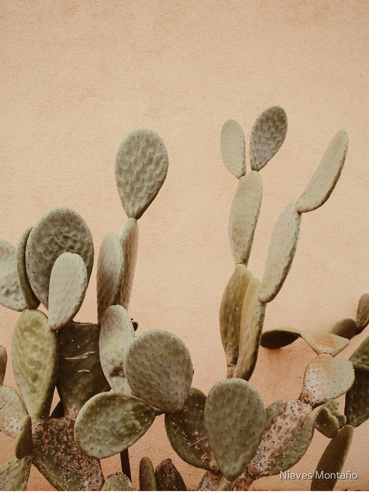 Tan Cactus, Cactus on Tan, Tan Cactus Desert, by Nieves Montaño