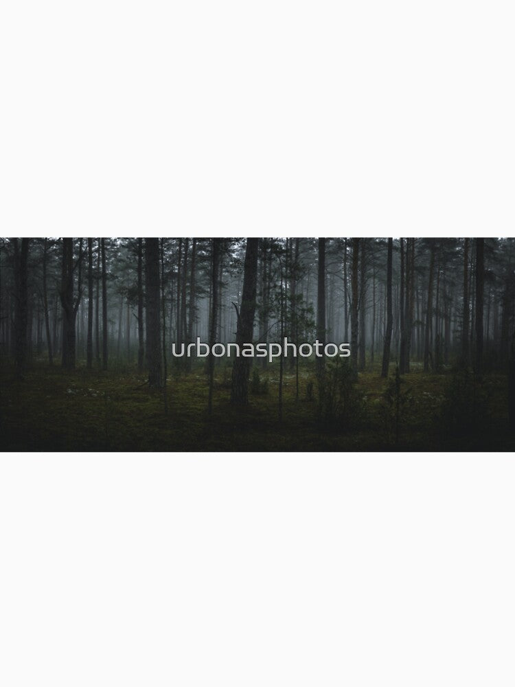 Dark misty forest by urbonasphotos