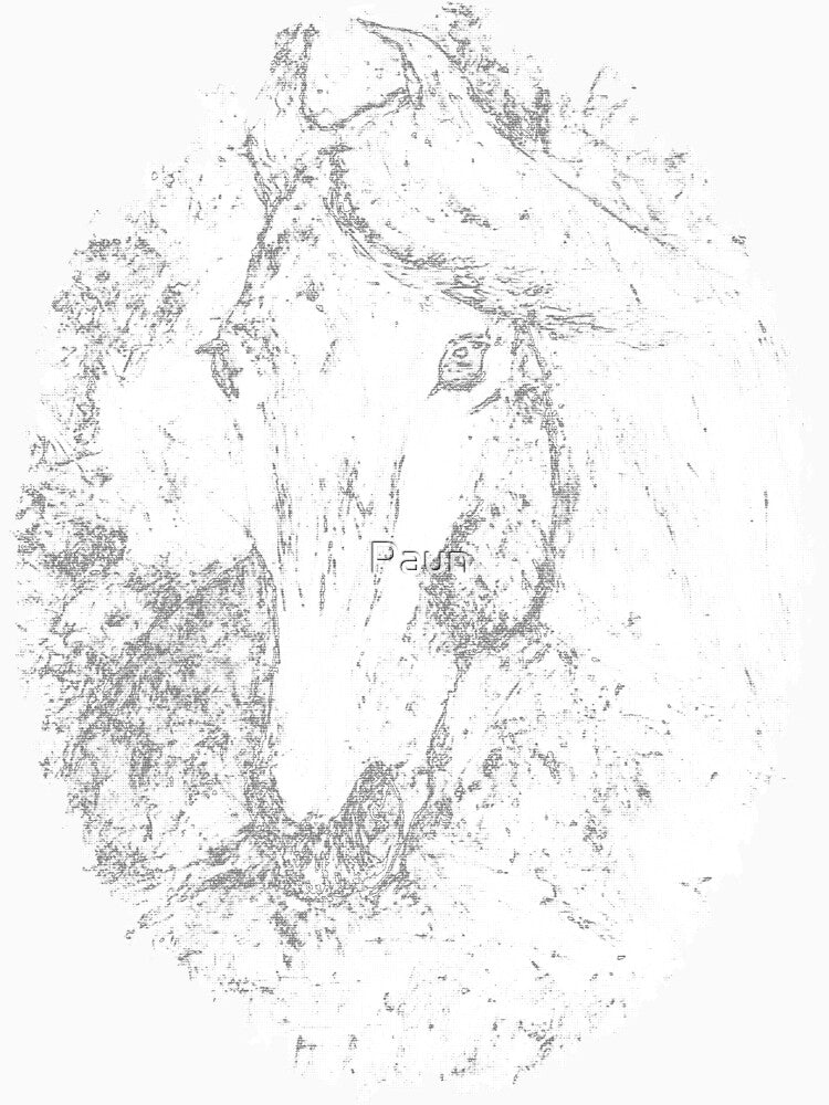 The Derby A by Paun