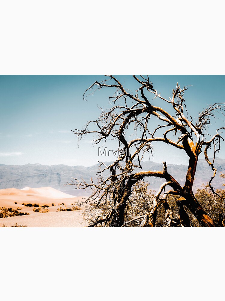 Desert landscape at Death Valley national park, California, USA by Mrvell