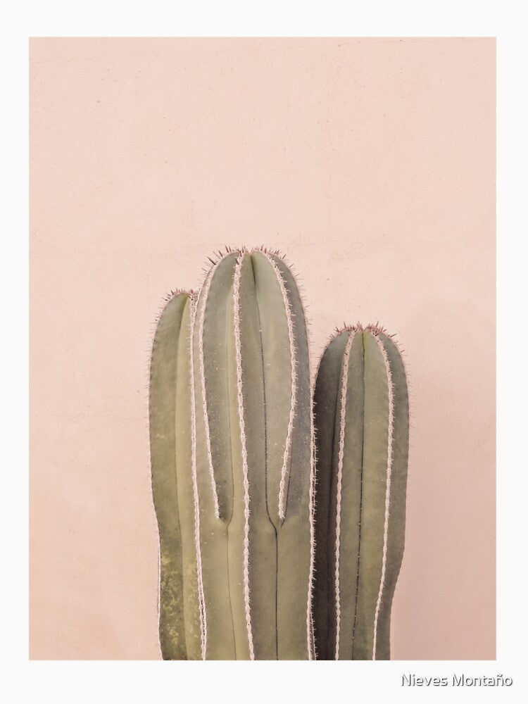 Pink Cactus, Pink Cactus Art, Pink Desert by Nieves Montaño