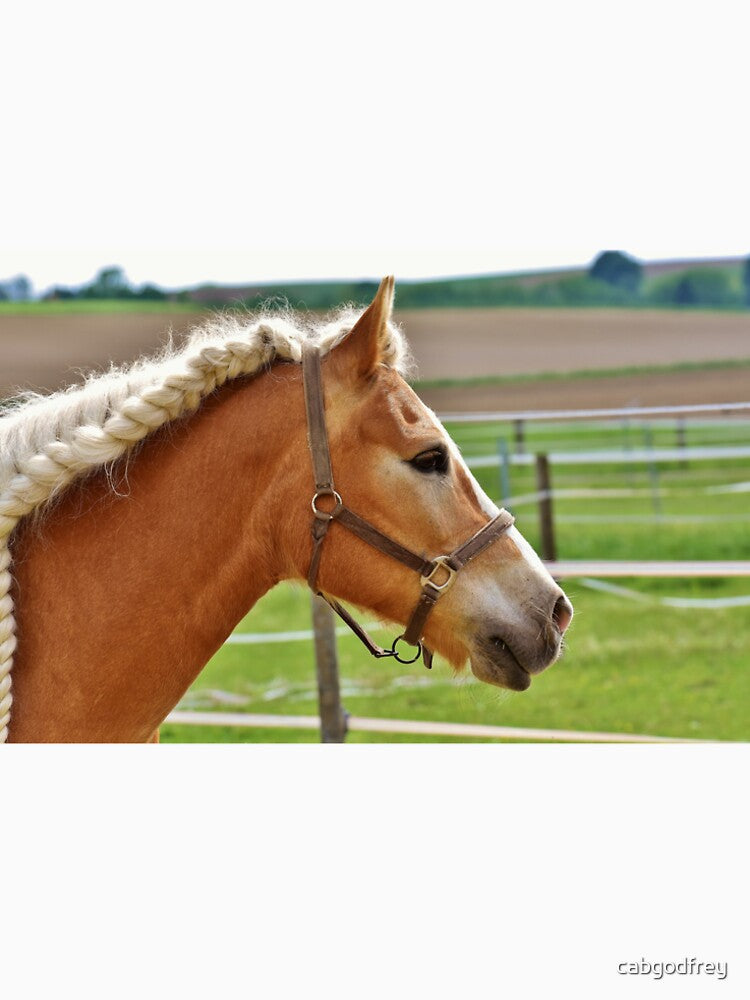 Beautiful Horse by cabgodfrey