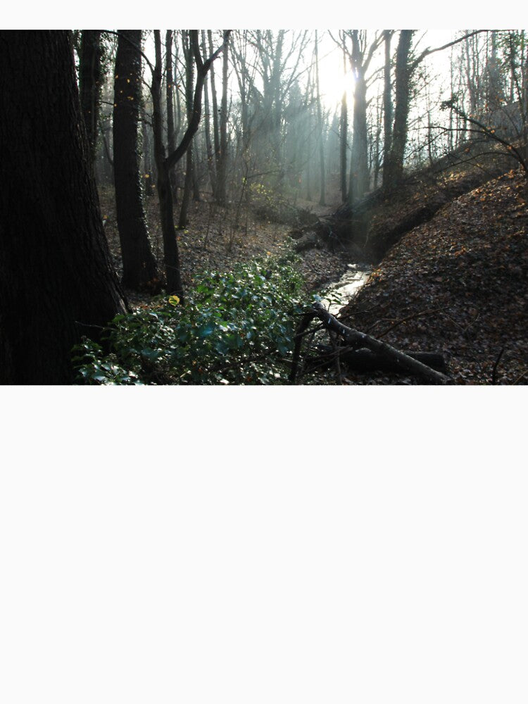 Sunlit Stream in a Quiet Autumn Forest by MaciasArtPrints