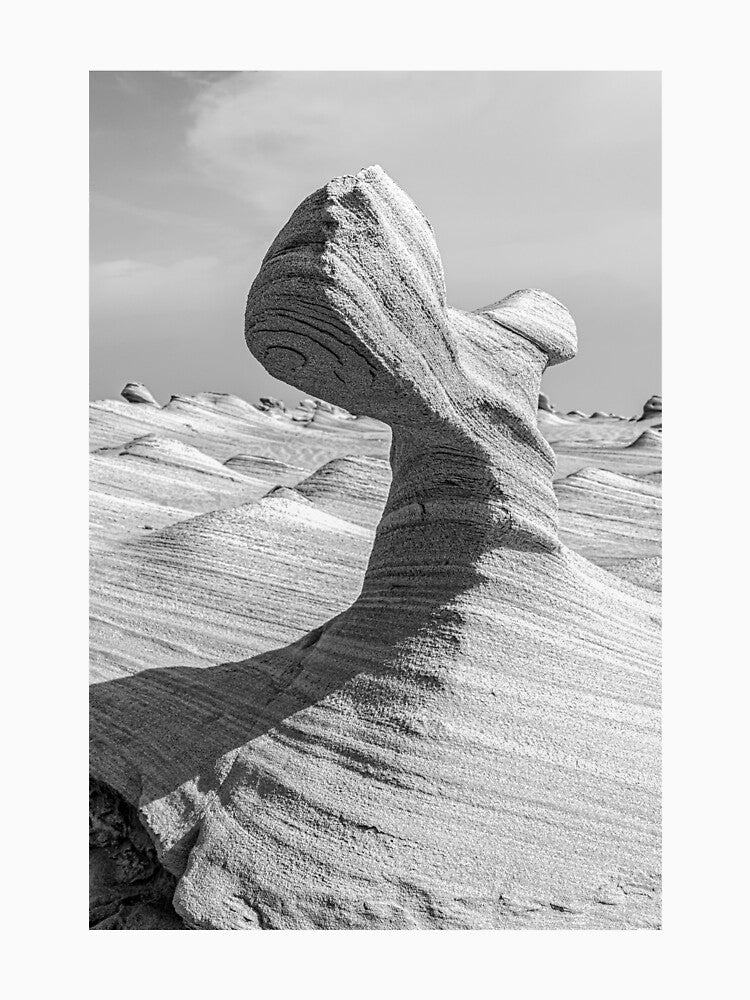 Artistic Al Wathba sand stones or Fossil Dunes, the Art and Creation of Nature, in the desert of Abu Dhabi. by DavidGabisPhoto