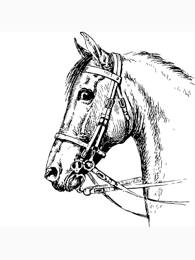 Super Horse by Mywaymylife