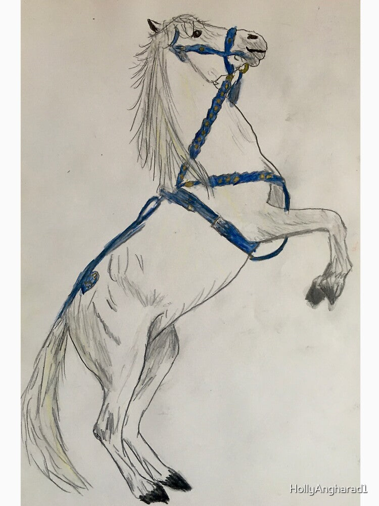 The circus horse by HollyAngharad1