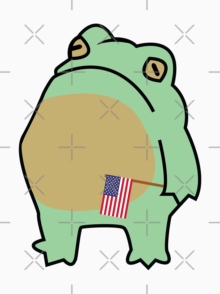 Frog with american flag by SKdarealshop