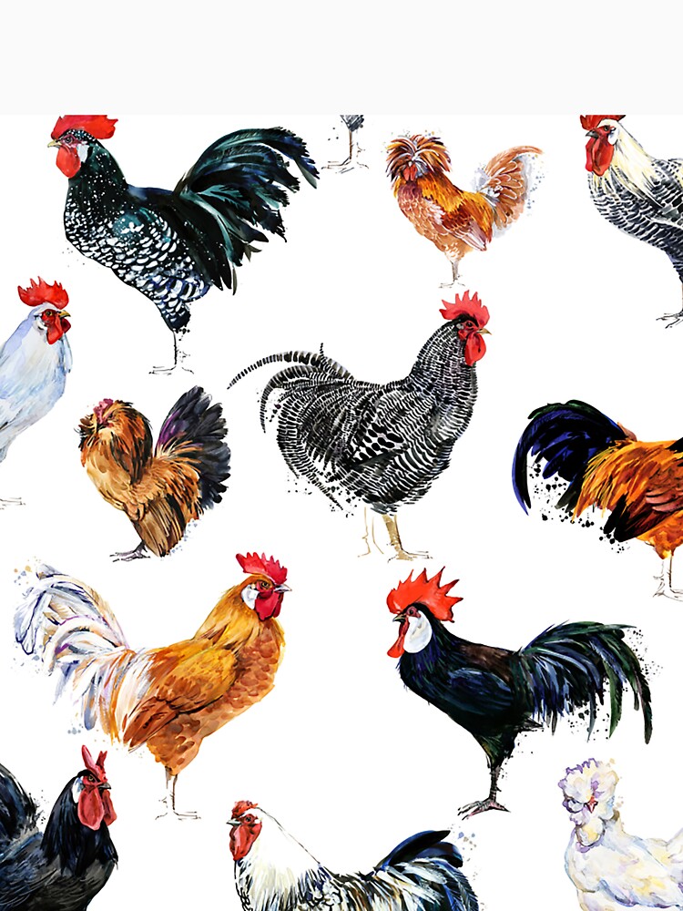 rooster pattern by JoycePruit