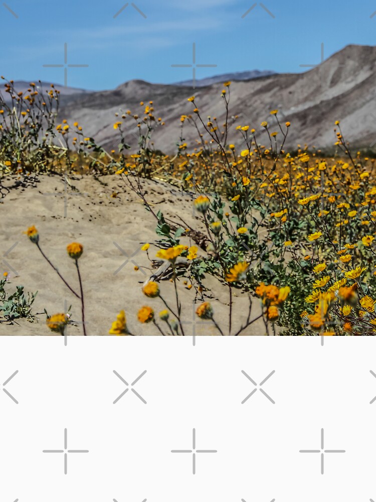 The Desert in Bloom by heatherfriedman