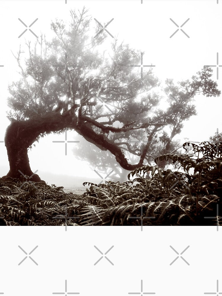 Madeira Mystical Forest 2 by Interpret108