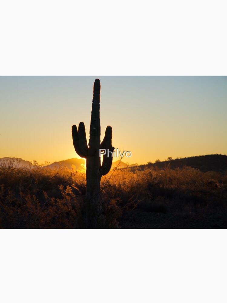 Saguaro Cactus Sun Rise by Photos by Phil