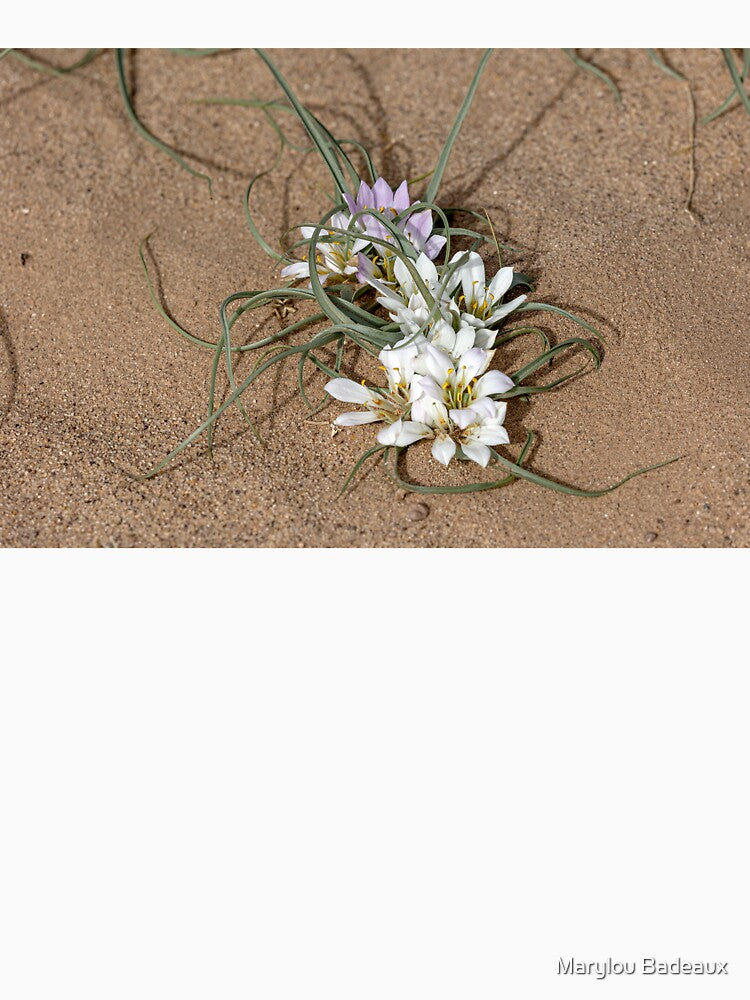 Sahara Lily by Marylou Badeaux