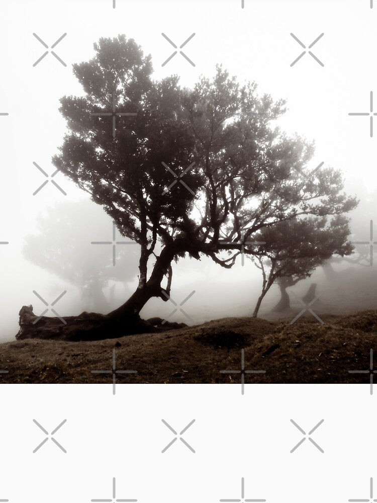 Madeira Mystical Forest 1 by Interpret108