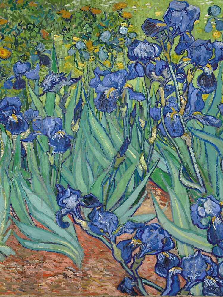 Vincent Van Gogh: Irises by The Great  Art