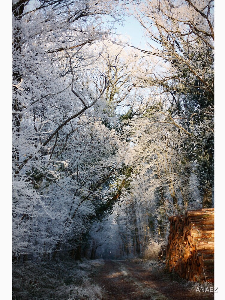 Frosty Undergrowth by ANAEZ