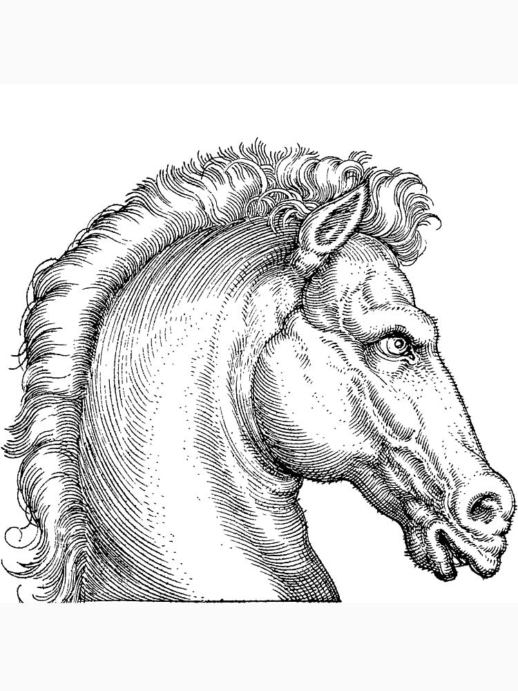 Strong Horse by Mywaymylife