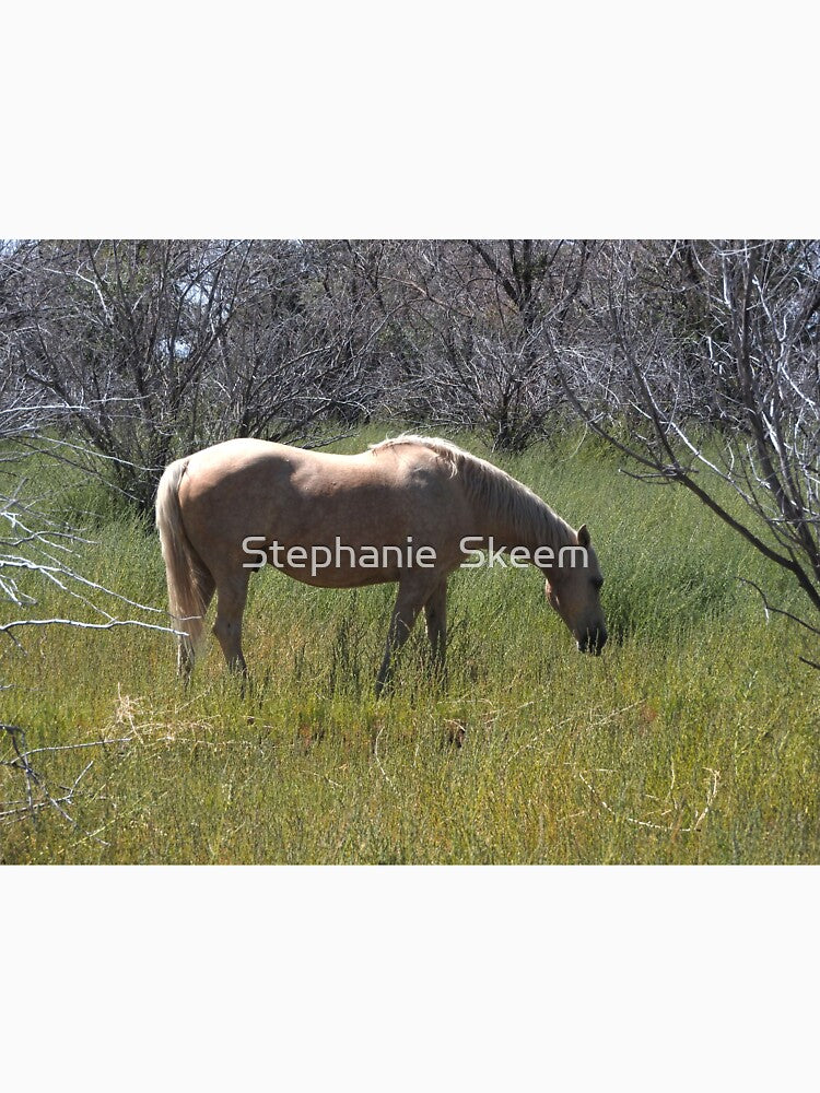 tan horse in a meadow by Stephanie  Skeem