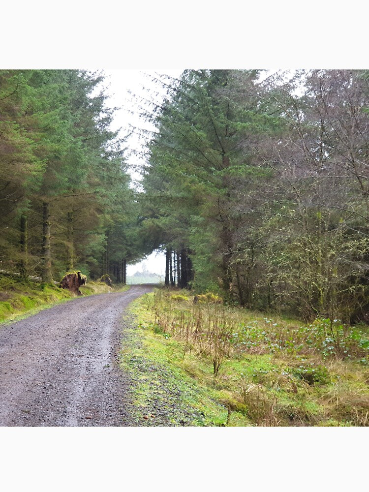 Road through Scottish forest by RSdesignbureau