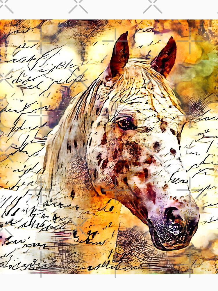 Appaloosa horse close up portrait with vintage handwriting by NickoPrints