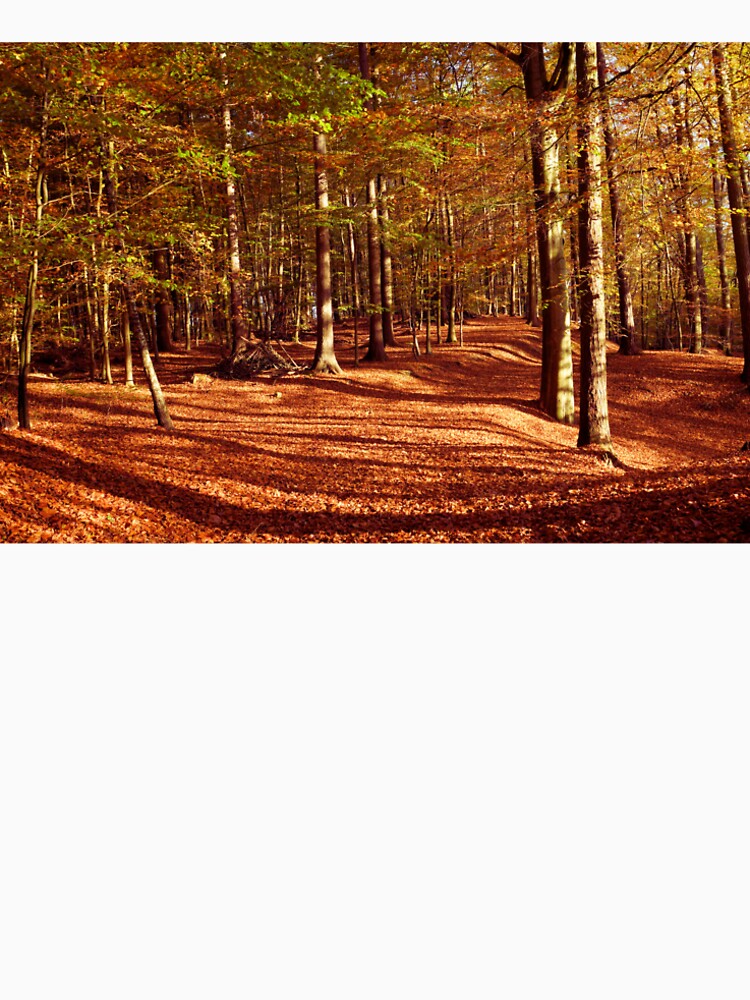 The Orange Glow of the Trees by Vastisadai