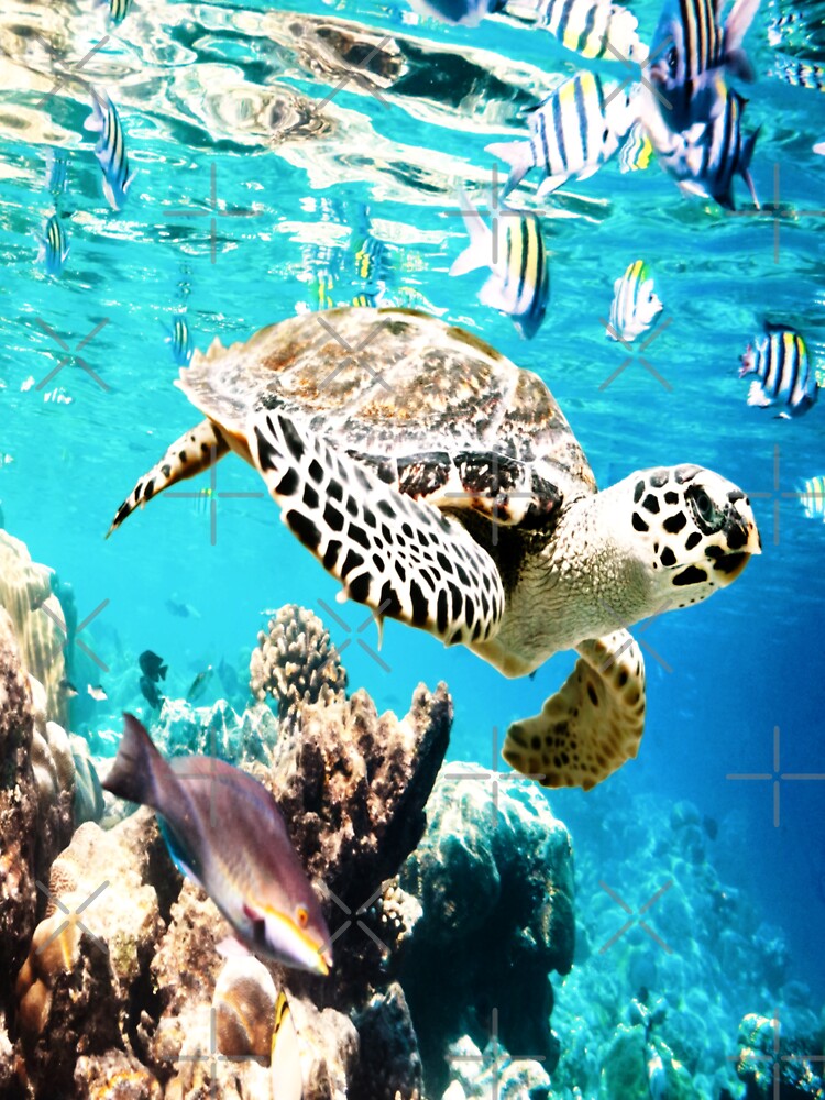 Awesome Ocean Turtley by Castiel88