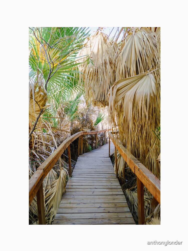 Palm Springs California | Desert Path | Palm Fronds by anthonylonder