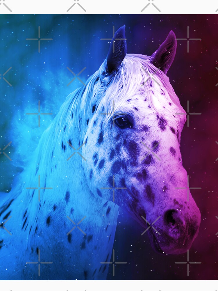 Appaloosa horse close up portrait in blue and violet by NickoPrints