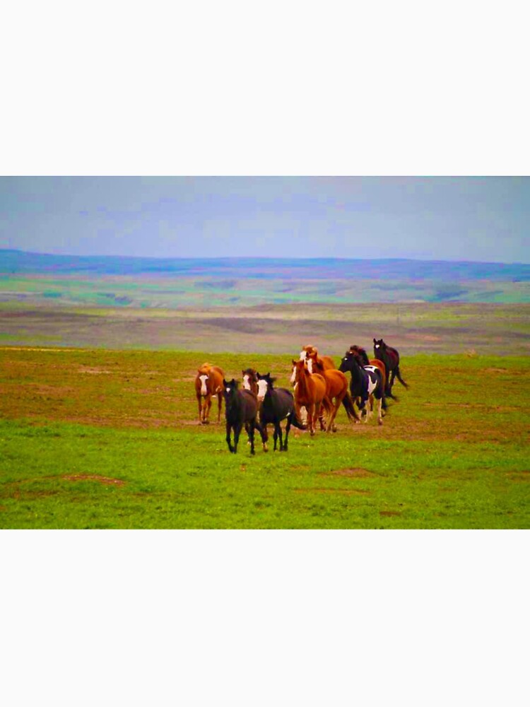 Horse Herd by LisaMPierce1990