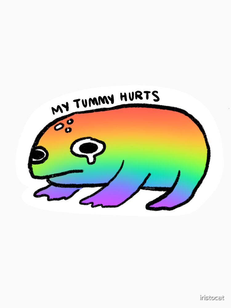rainbow frog my tummy hurts by iristocat