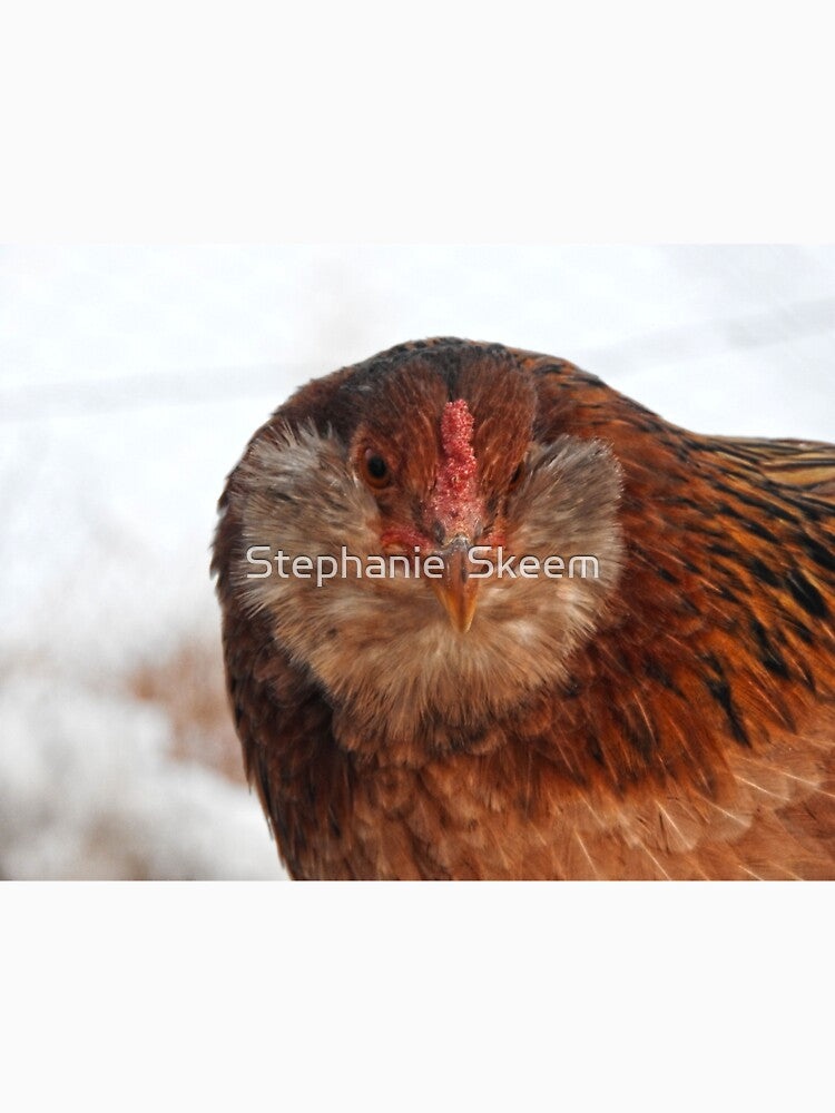 Fluffy fuzzy chicken face by Stephanie  Skeem